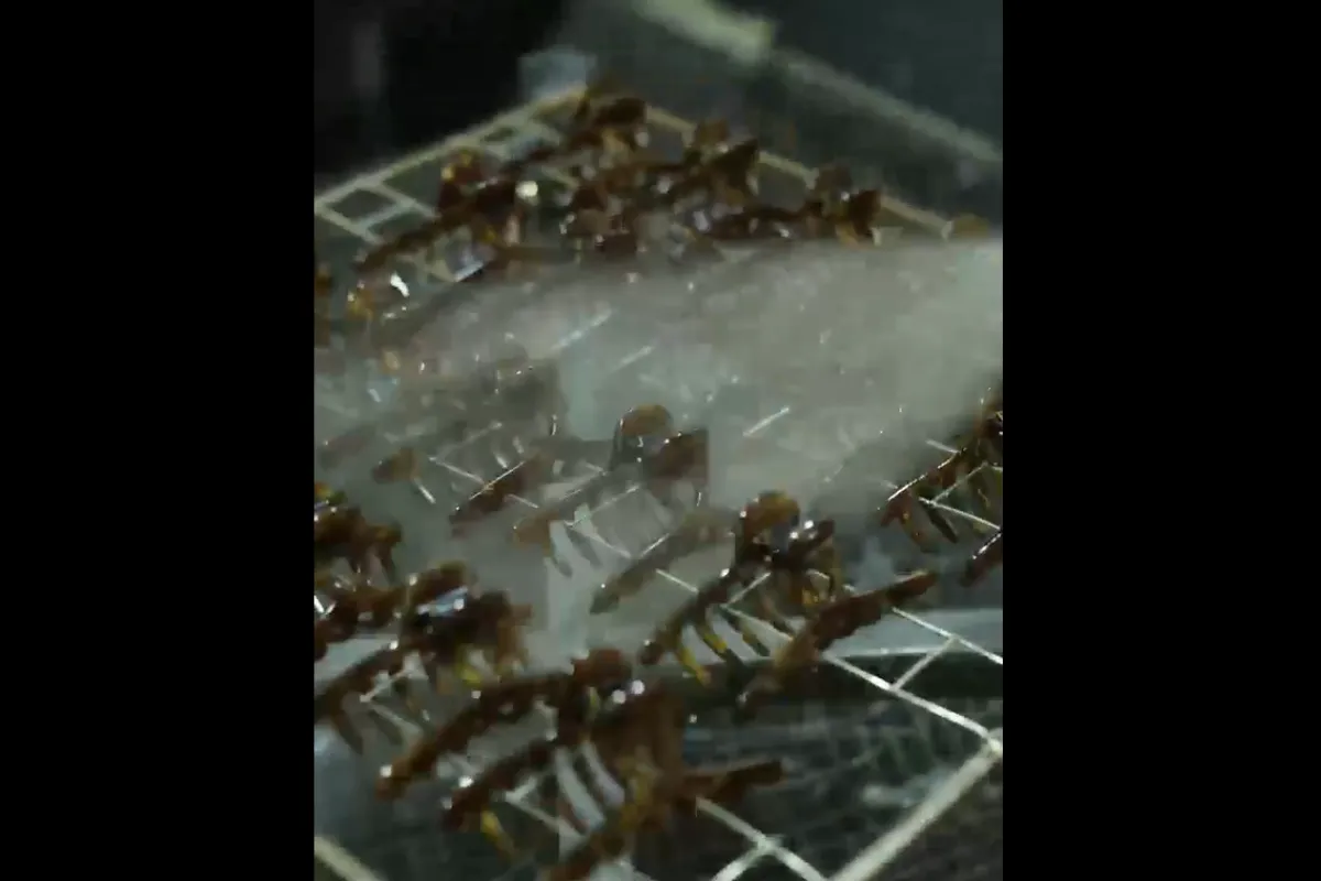 High Quality Spray Painting for Acetate Hair Clips