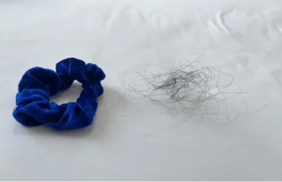 Maintenance and Cleaning